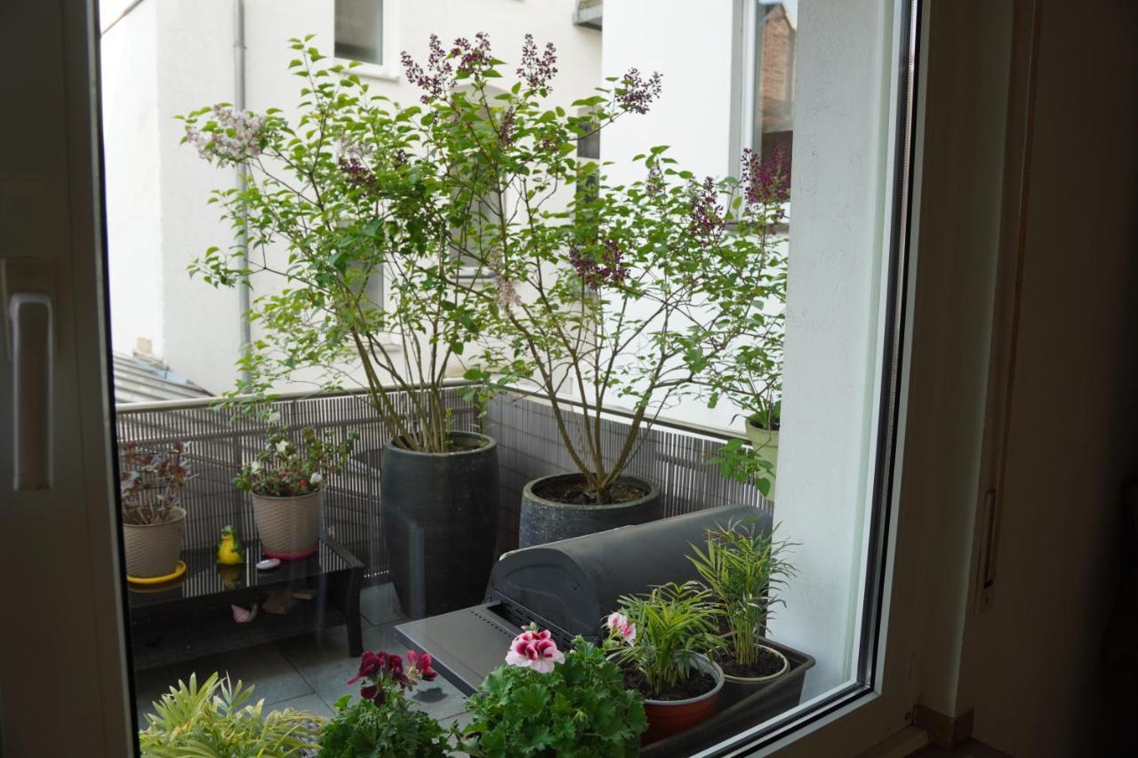 Bright, Spacious Apartment With A Lovely Terrace In The Heart Of Aquisgrano Exterior foto